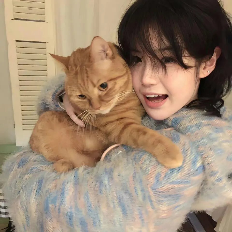 赖猫的狮子倒影